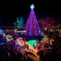 Christmas-lighting-events